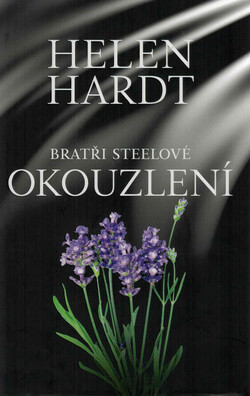 Bratři Steelové