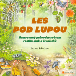 Les pod lupou