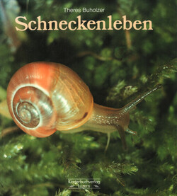 Schneckenleben