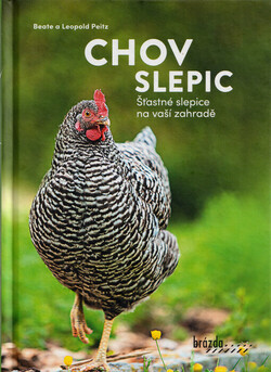 Chov slepic