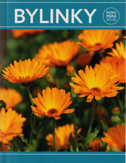 Bylinky