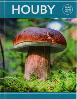 Houby