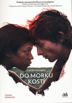 Do morku kostí
