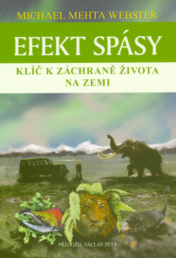 Efekt spásy