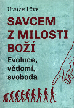 Savcem z milosti Boží