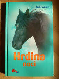 Hrdina noci