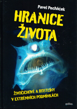 Hranice života