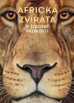 Africká zvířata v životní velikosti