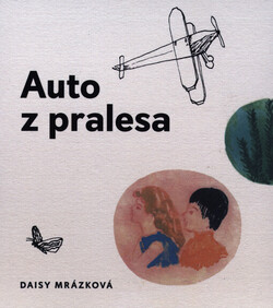 Auto z pralesa
