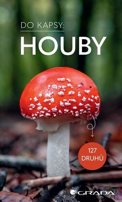 Houby