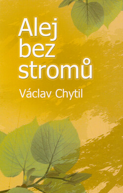 Alej bez stromů