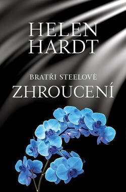 Bratři Steelové