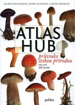 Atlas hub