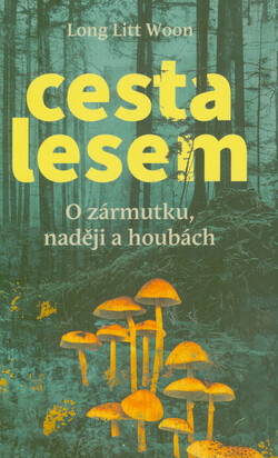 Cesta lesem