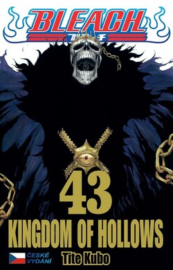 Bleach