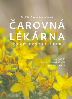 Čarovná lékárna kolem našeho domu