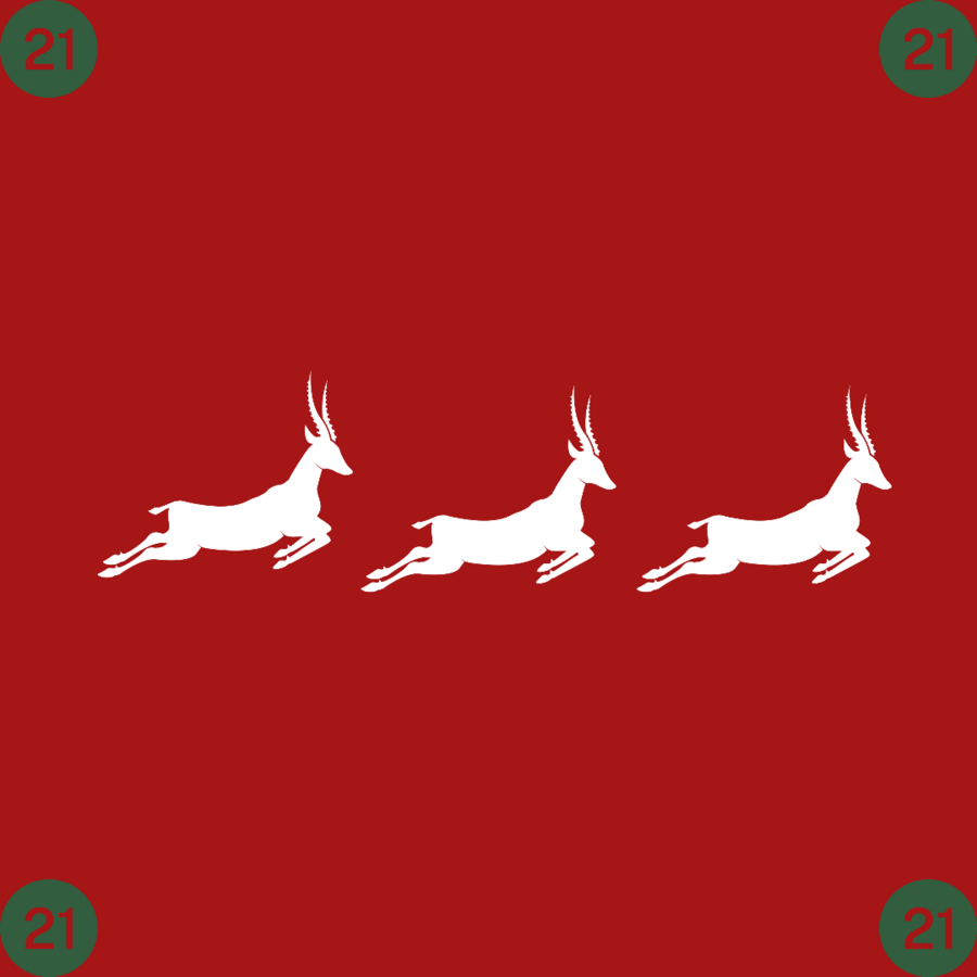 21 (png)