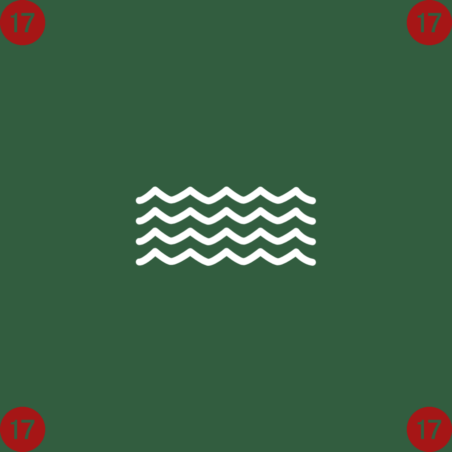 17 (png)