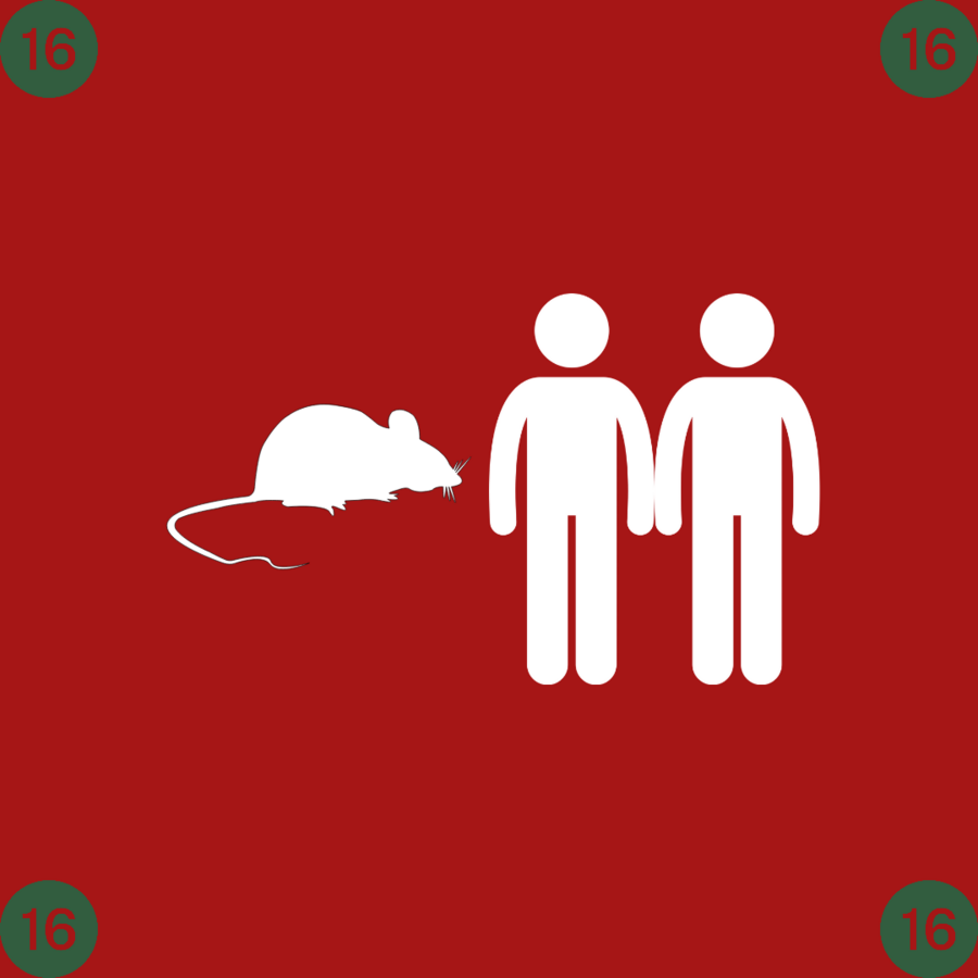 16 (png)